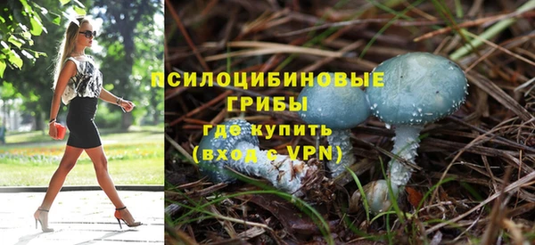 дурь Яранск