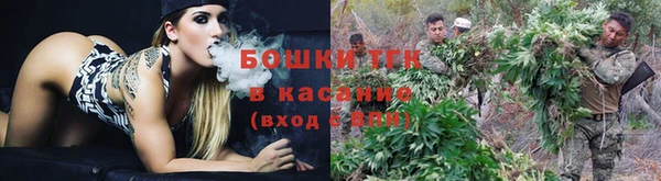 прущий лед Арсеньев