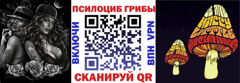 Псилоцибиновые грибы MAGIC MUSHROOMS Дорогобуж